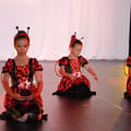 Dsc 0067