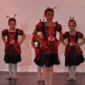 Dsc 0077