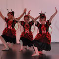 Dsc 0080