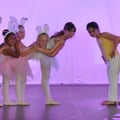 Dsc 0142
