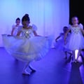 Dsc 0201