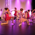 Img 0503