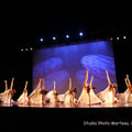 img-0554.jpg