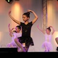 Img 2339