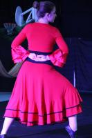 le-flamenco.jpg