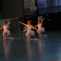 Photo 017